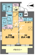 カスタリア新富町 704 間取り図